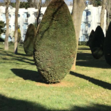 T3 Les Peupliers Proche Pasino Et Mer Apartment La Grande Motte Luaran gambar