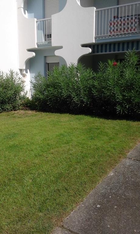T3 Les Peupliers Proche Pasino Et Mer Apartment La Grande Motte Luaran gambar